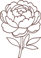 Obraz premium Peony flower outline with detailed petals and leaves, elegant botanical design for decoration or tattoo art