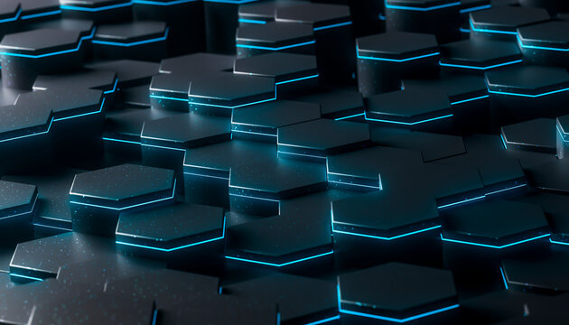 3D Digital Ecosystem