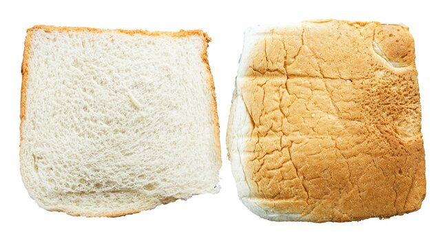 Two slices of fresh toasted bread back and front isolated on white, top view. slice of bread isolated on white background