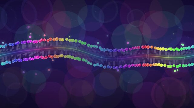 Vivid rainbow bilayer vibrating with microscopic energy seamless loop