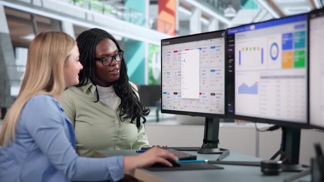 Financial Analysts Review Travel Expense Reports Using Software