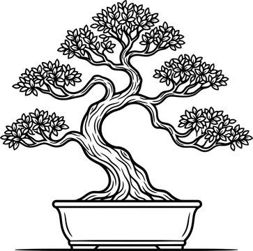 Japanese Bonsai Tree in a Pot Doodle Isolated on White Background