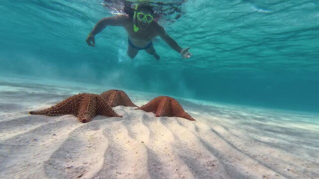 Underwater wide-angle shot man snorkeling in crystal-clear turquoise waters. Below him, three large Caribbean cushion sea stars (Oreaster reticulatus) rest on white, rippled sandy ocean floor