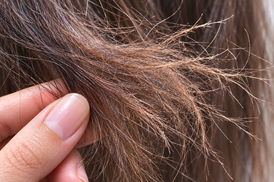 Dry damaged split ends of hair close up