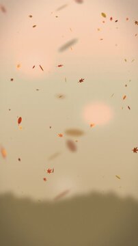 Falling autumn leaves on a soft pastel background. 2d animation
