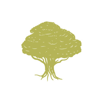 Banyan Tree Life Root Botanical Graphic Silhouette For Environment Conservation Organic Agriculture Website Banner