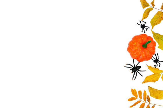Horizontal Halloween banner with orange pumpkin, black spiders and fall leaves on a transparent background with place for text