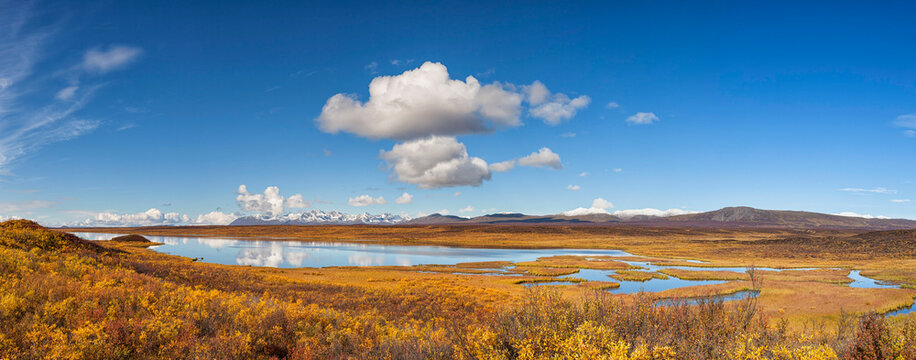 USA, View of landscape in autumn and Alaska Range in background