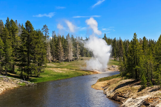 USA, Wyoming, Yellowstone National Park, Upper Geyser Basin, Firehole River, geyser erupting