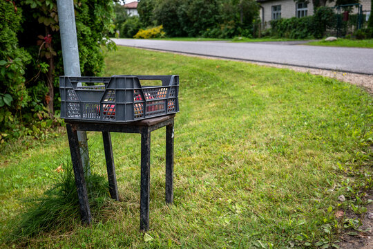 Free Apples in a Roadside Crate for Passersby and Visitors
