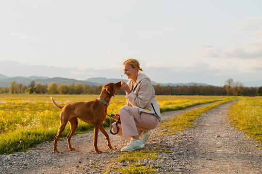 Owner kneeling on path showing flower to Hungarian Vizsla dog