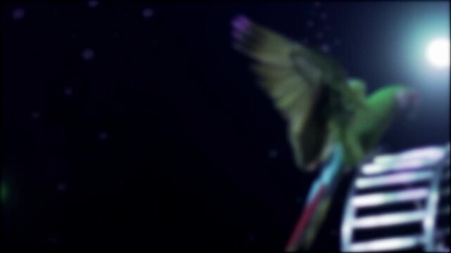 Vibrant colorful parrot performs amazing acrobatic stunt on rotating wheel in bright stage light against dark background mesmerizing avian display, slow motion, blurry