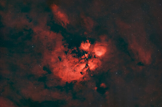 The red Cats Paw Nebula glows brightly in the dark night sky