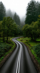 Fototapeta premium Curving road fog forest misty green trees nature landscape tranquil morning. Curving road through misty forest with lush green trees and foggy