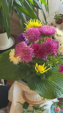 Hand arranges asters and hosta leaves in ceramic vase near window. Seasonal local flowers, sustainable floristry practice, home grown blooms, slow craft skills