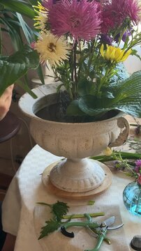 Hands cut hosta leaf stem with secateurs while arranging asters in ceramic vase. Foam free floral mechanics, seasonal local flowers, sustainable floristry practice, slow craft skills