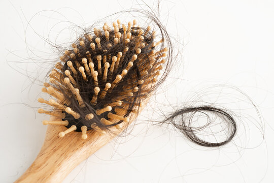 Hair loss fall with comb bush serious problem health, beauty and cosmetic.