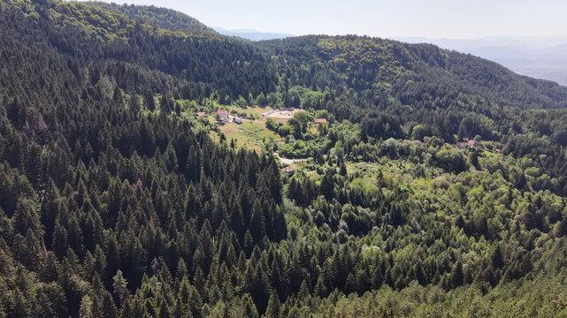 Aerial Flyover of Dense Pine Forest Canopy on Trebevic Mountain