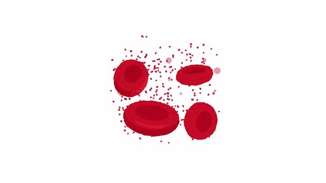 Microscopic red blood cells floating on white background