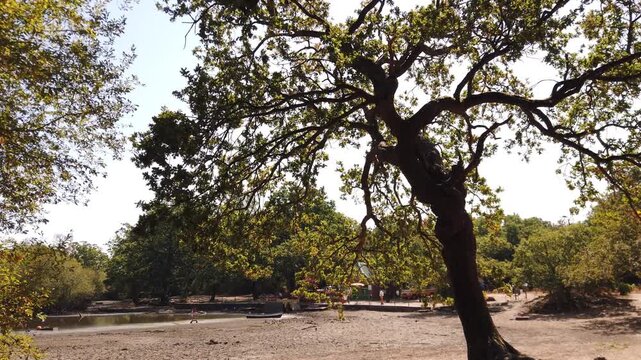 LEYTON, LONDON, UK - AUGUST 2026: The dried-out bed of Hollow Ponds boating lake exposed during England's worst drought, as the Environment Agency declares London in official drought status.
