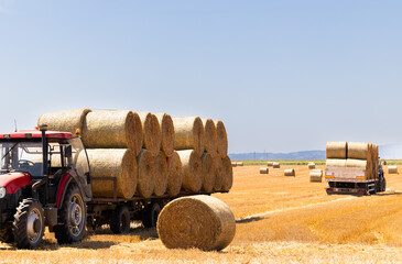 Tractor Transporting Round Hay Bales Across a Harvested Agricultural Field © Dusan Kostic