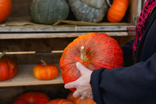 Senior woman selling diverse organic pumpkin's at outdoor farmer market during fall season - Small business, Halloween fest and food concept