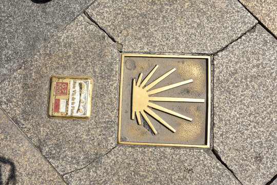 Symbol of the Camino de Santiago on the street pavement in Zamora; Castile and Le&oacute;n; Spain