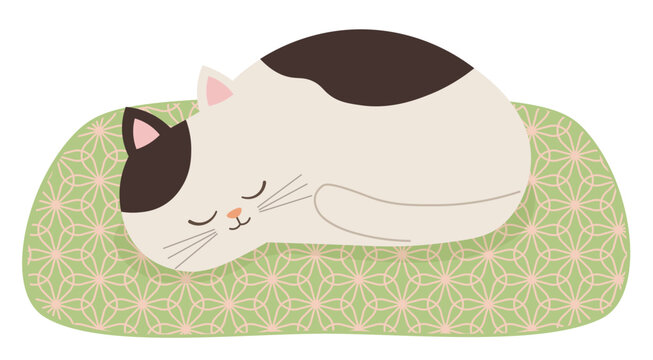 眠る猫