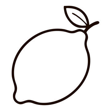 Fresh Lemon Line Art - Whole Citrus Lemon Vector Illustration for Beverage Menus, Lemonade Stand Logos, and Fresh Food Packaging
