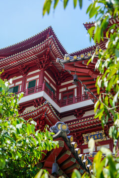 View between trees of a corner of the red and white Buddha Tooth Relic Temple in Singapore