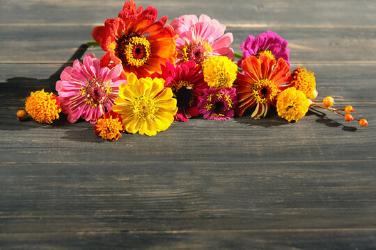 bright colorful flowers of zinnias and marigold (tagetes) on rustic wooden table close up. floral beautiful image. seasonal summer end and autumn flowers. copy space