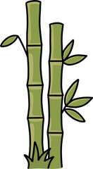 Fototapeta premium Green bamboo stalks with fresh leaves oriental nature illustration isolated on white background