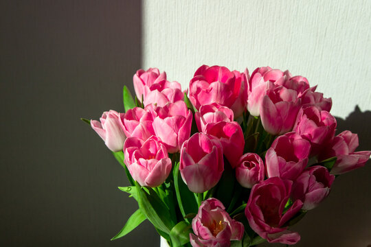 A bunch of pink tulips in a vase on a table near a wall with natural light shining through the window