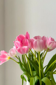 Bright pink tulips in a simple vase near a white wall in a cozy room