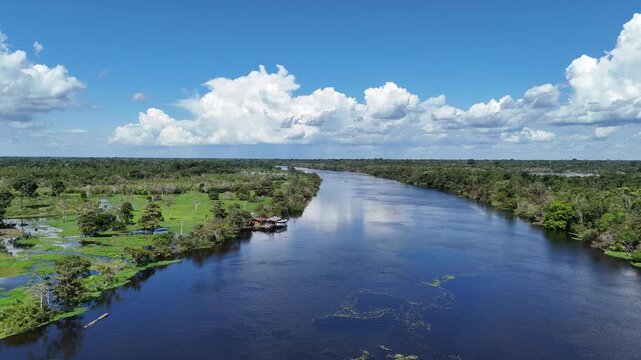 Beautiful wide-angle footage of the majestic Amazon river and lush green rainforest under a bright blue sky with fluffy clouds in Brazil.