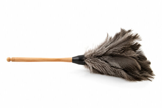 Wooden Handle Feather Duster Isolated on White