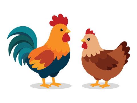 Rooster and Hen Flat Vector Illustration Isolated on White Background. Perfect for farm, poultry, agriculture, livestock, rural, book illustration, and animal-themed designs.