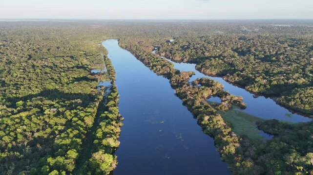 Cinematic aerial flight over a calm dark river cutting through the vast and pristine green Amazon jungle in Brazil.