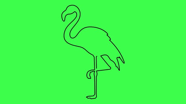 Minimalist flamingo self drawing animation with black line art style on green background.