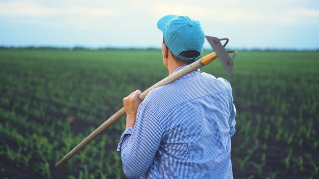 The man stands in a green field, looking over the crops. The man holds a hoe, contemplating the farmland around him.