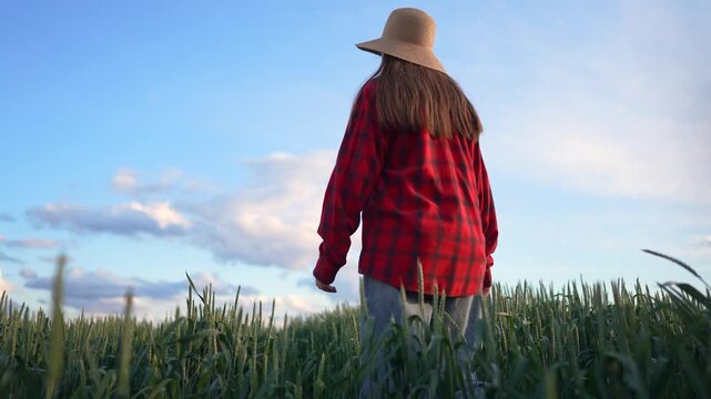 The woman walks through the green field, the woman dressed in a red plaid shirt and a wide-brimmed hat under the clear blue sky. The woman moves gracefully among the tall wheat.