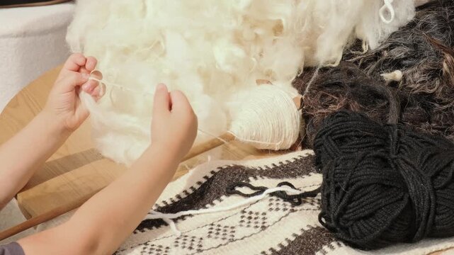 child hand practices spinning raw wool using migzal drop spindle. young child learns ancient bedouin spinning technique. traditional spinning preserves al sadu weaving heritage and culture.