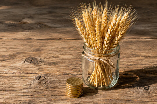 Wheat ears in glass jar with stack of gold coins on wooden table, agricultural subsidy and harvest wealth concept