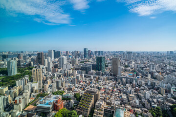 Fototapeta premium Aerial view of dense Tokyo cityscape and skyline with blue sky, Japan