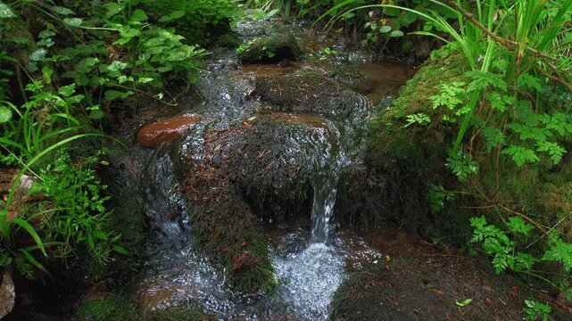 Fresh water of a forest stream flowing on rocks in slow motion and surrounded by beautiful green vegetation in soft light