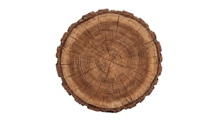 Obraz premium Close-up photograph of a natural tree trunk cross-section, displaying intricate growth rings and rugged bark texture.