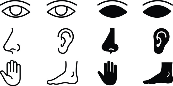 Collection of human sensory organs depicted as flat vector silhouettes against a white background