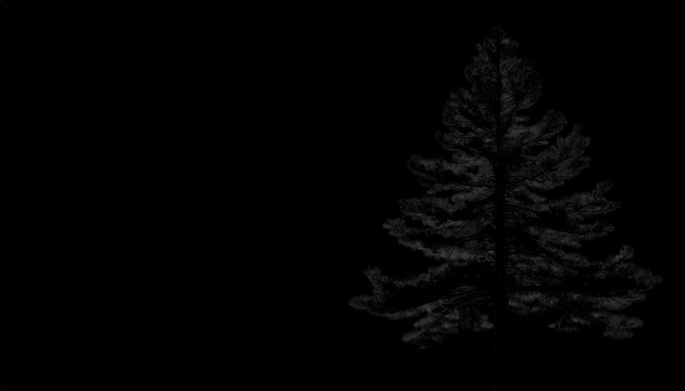 Dark evergreen tree stands as a stark silhouette against a pure black background, emphasizing its textured branches and dense, conical shape with dramatic contrast.