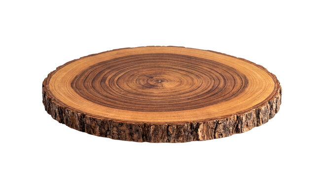 Round wooden slice with visible growth rings and natural bark edge, presented at an angle on a transparent background.