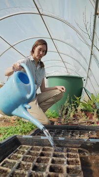 Female gardener watering seedlings in greenhouse